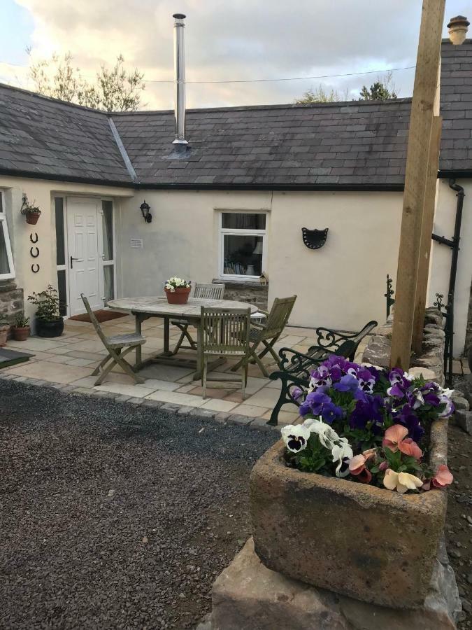 Tracey'S Farmhouse Cottage ベルファスト エクステリア 写真
